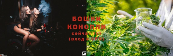 прущие грибы Абдулино