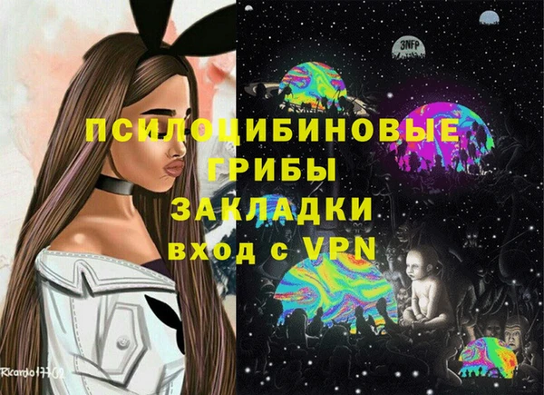 прущие грибы Абдулино