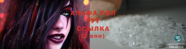 прущие грибы Абдулино