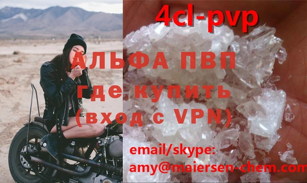 прущие грибы Абдулино