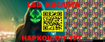 стафф Донской