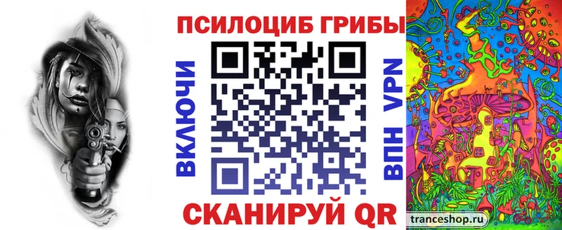 Галлюциногенные грибы Psilocybe  Магадан 