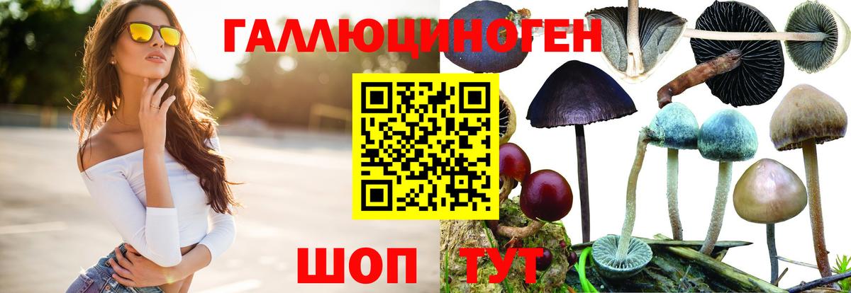 Магадан  купить наркоту  Вход с VPN  Псилоцибиновые грибы мицелий 